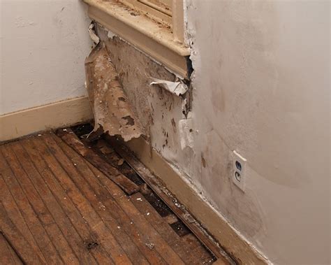 How to Identify, Repair, and Avoid Water Damage on。